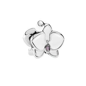 Pandora Charm